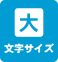 現在の文字サイズ : 大